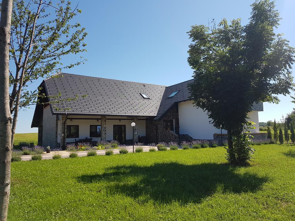 Villa Stone Rakovica Luaran gambar