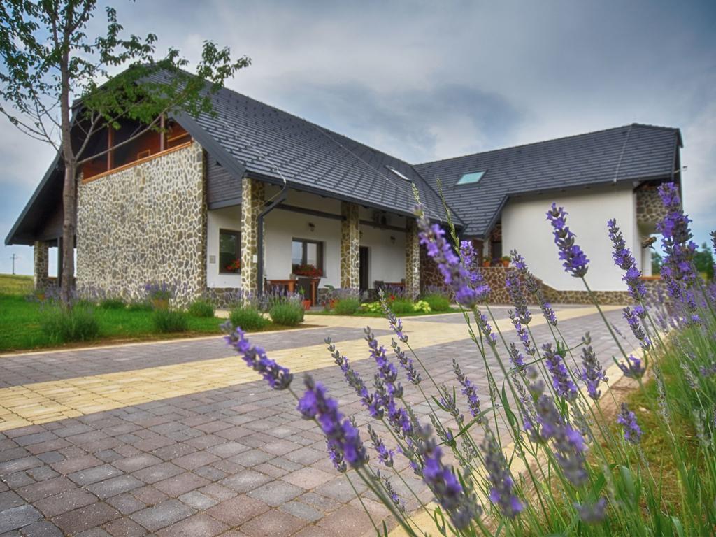 Villa Stone Rakovica Luaran gambar