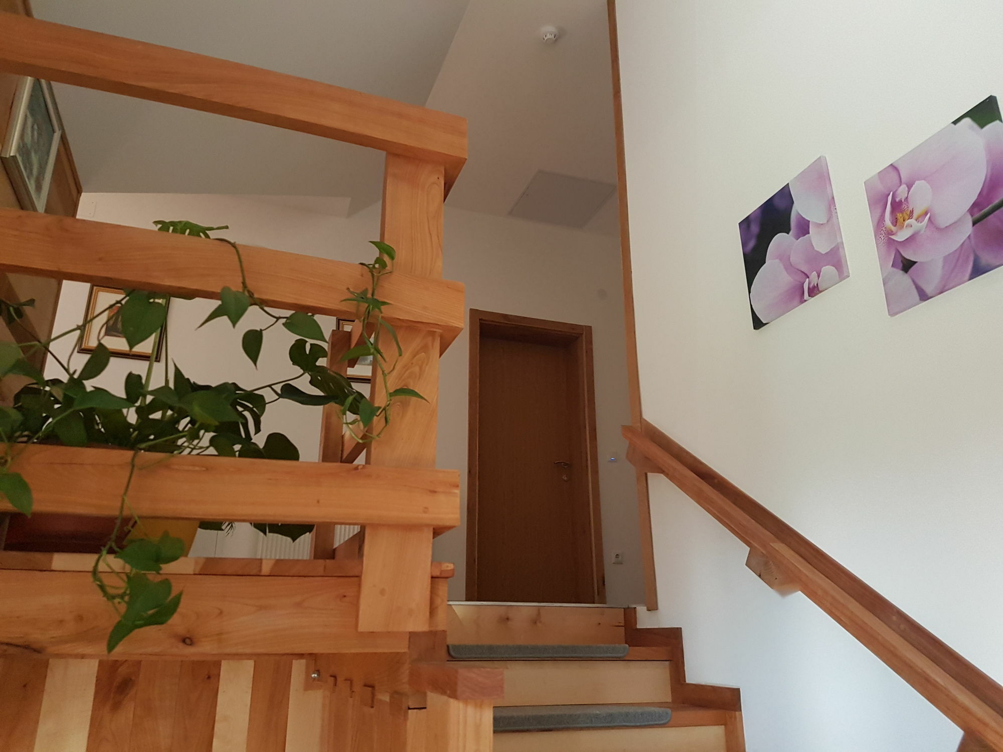 Villa Stone Rakovica Luaran gambar